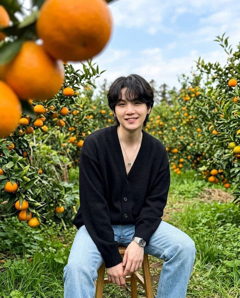 BTS SUGA in an orange orchard smiling at fans