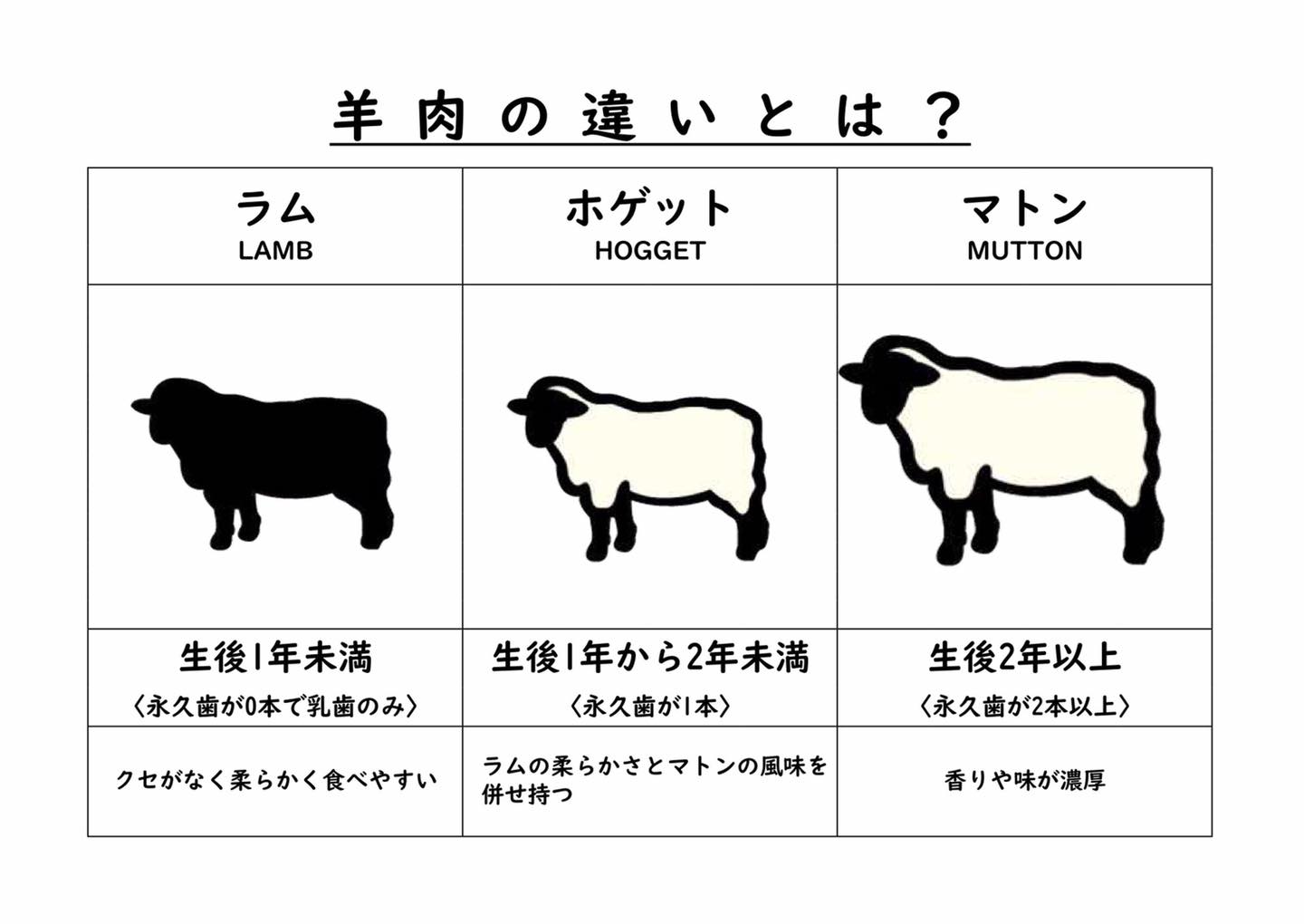 ラム と マトン の 違い