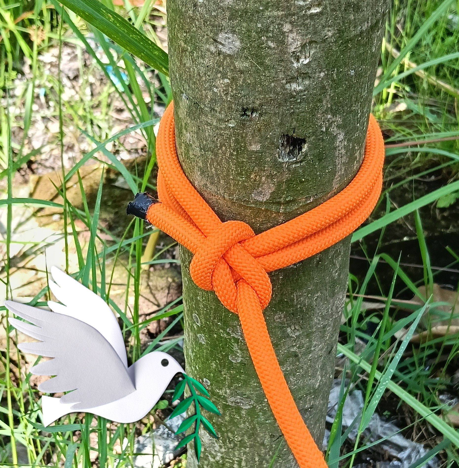 Easy Rope Joining Tips 🪢👌 #tipsandtricks #Rope #tutorial | Susi Tuban