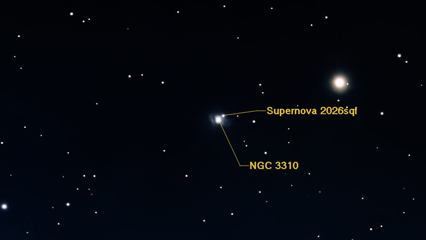 Supernova SN 2026sqf in NGC 3310 galaxy observed with Seestar S50