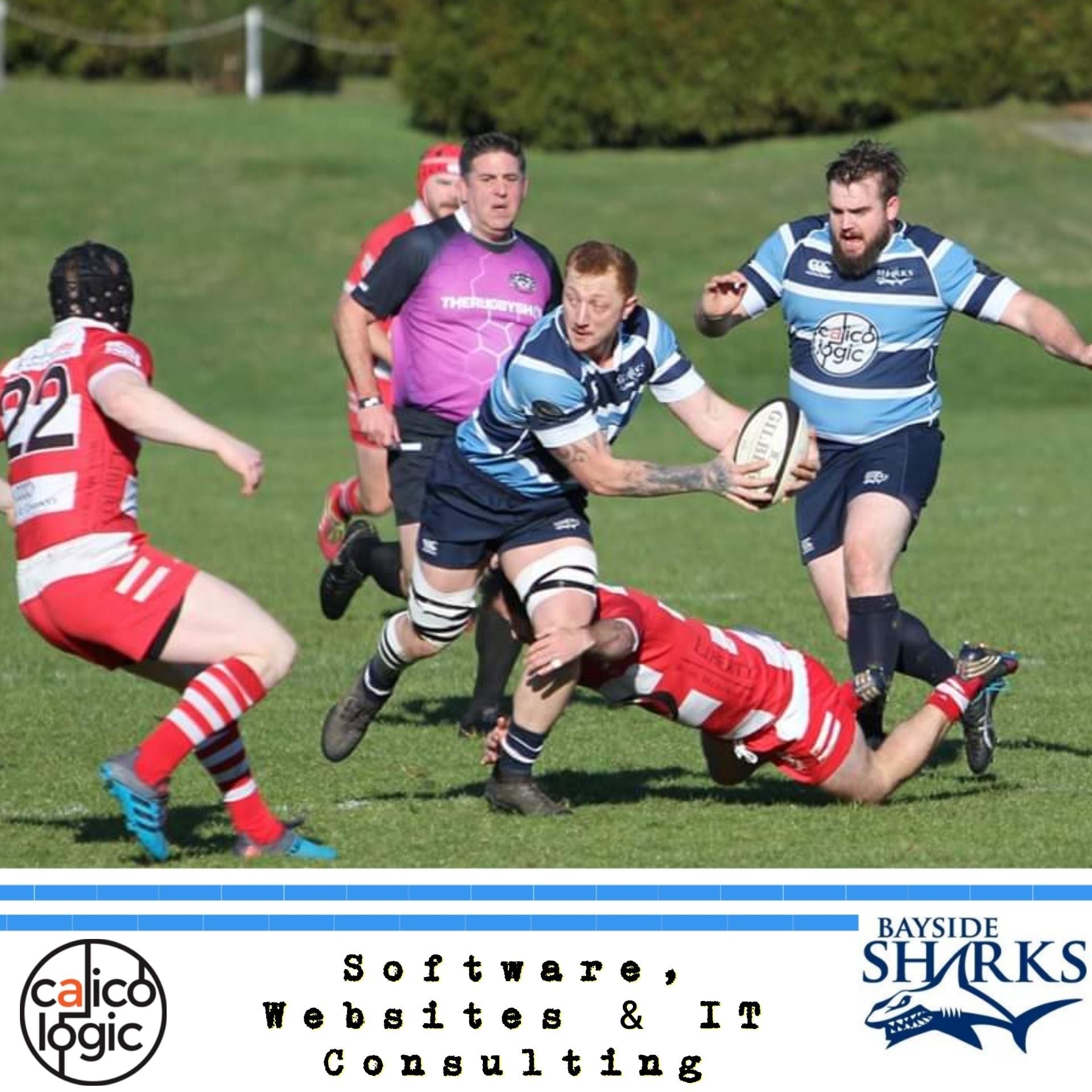 Bayside Rugby - 🦈🦈🦈SURFS UP!!! 🌊🌊🌊 Bayside Sharks 1st Div... | Facebook