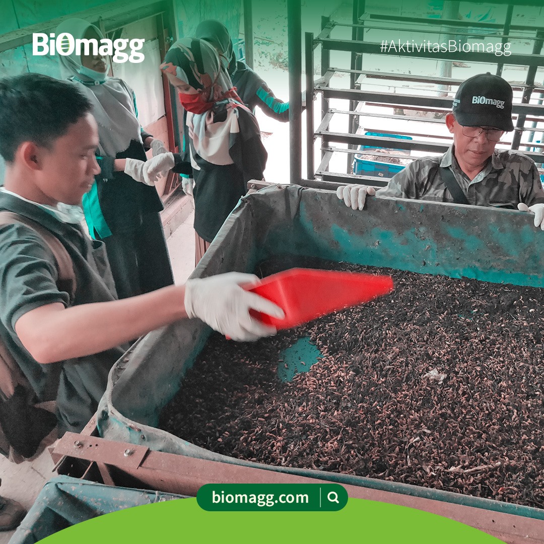 Biomagg - Pengelolaan sampah merupakan salah satu...