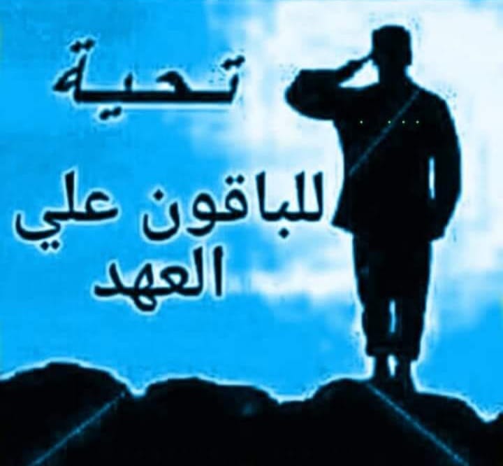 نصر ضو