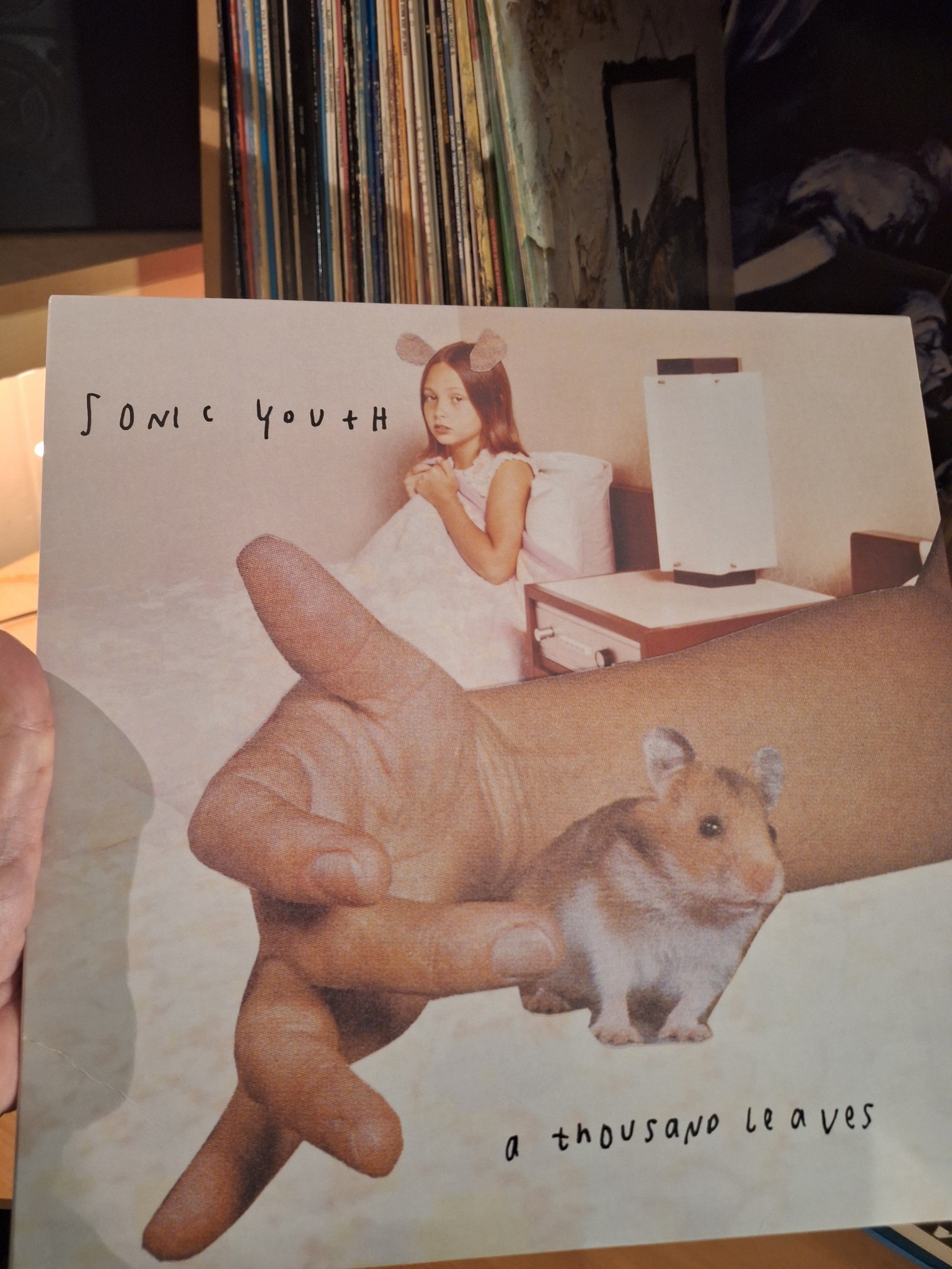 Sonic Youth - A thousand Leaves