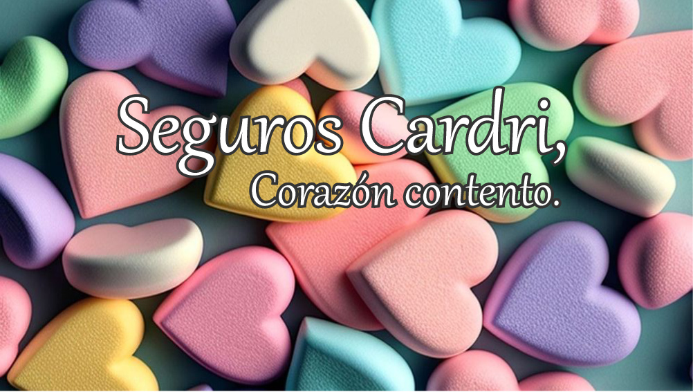 Cardri Seguros