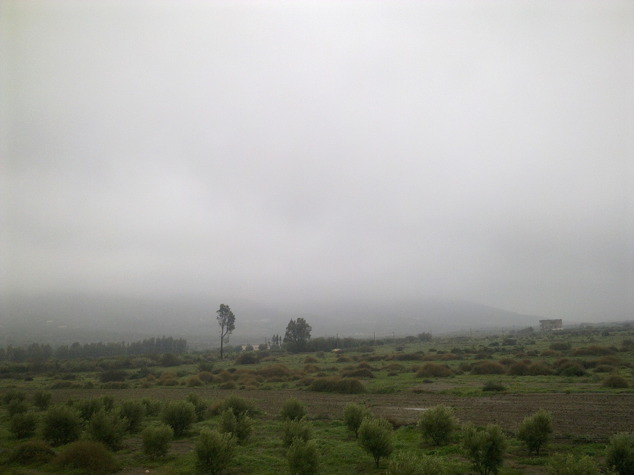 Azib Of Midar رعزيب ميضار