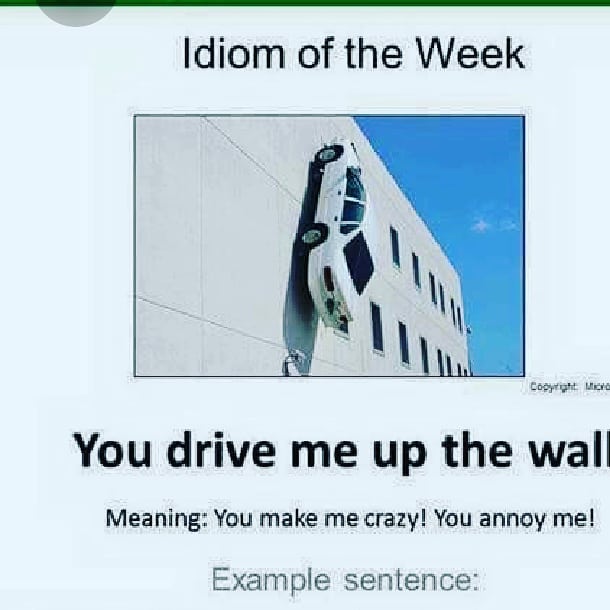 Useful Idioms British School Of English Facebook
