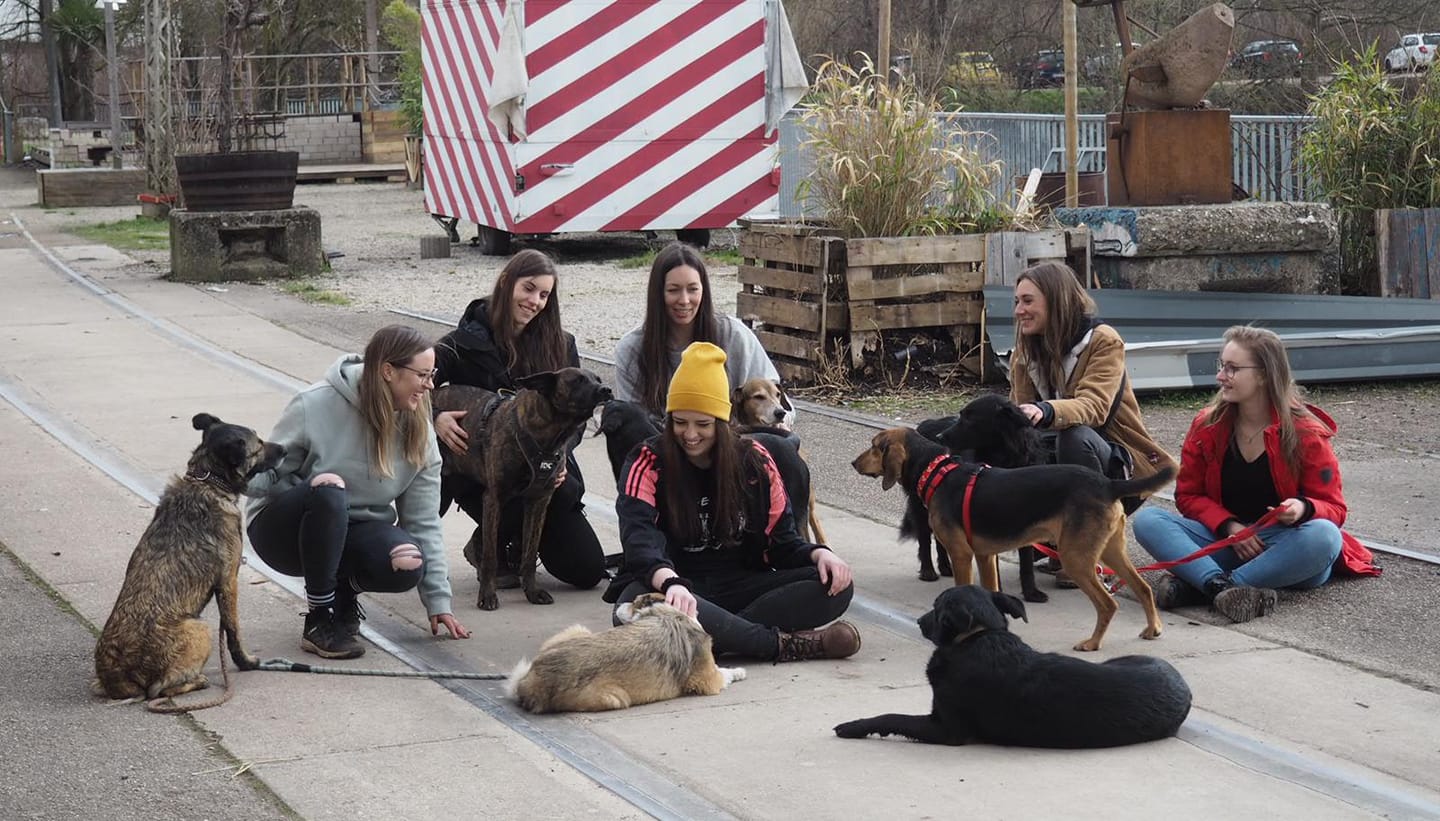 Caesar's Animal Club e.V. | Saarbrücken
