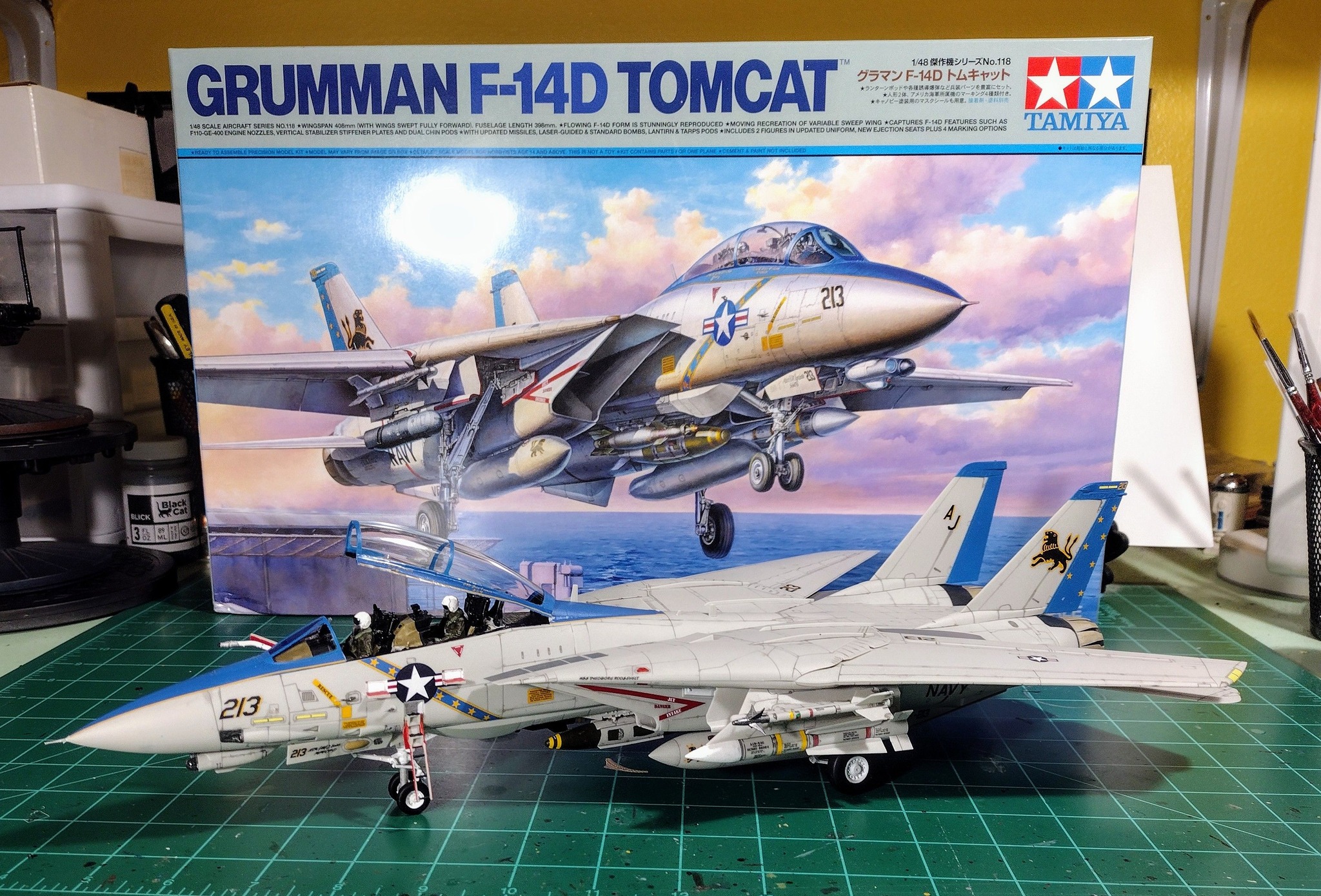 F-14 Tomcat VF-213 Black Lions by Night ?