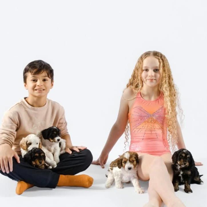 Rori (the tiny tri color cavapoo!) hit 2.3 pounds & Paris weighed in at ...
