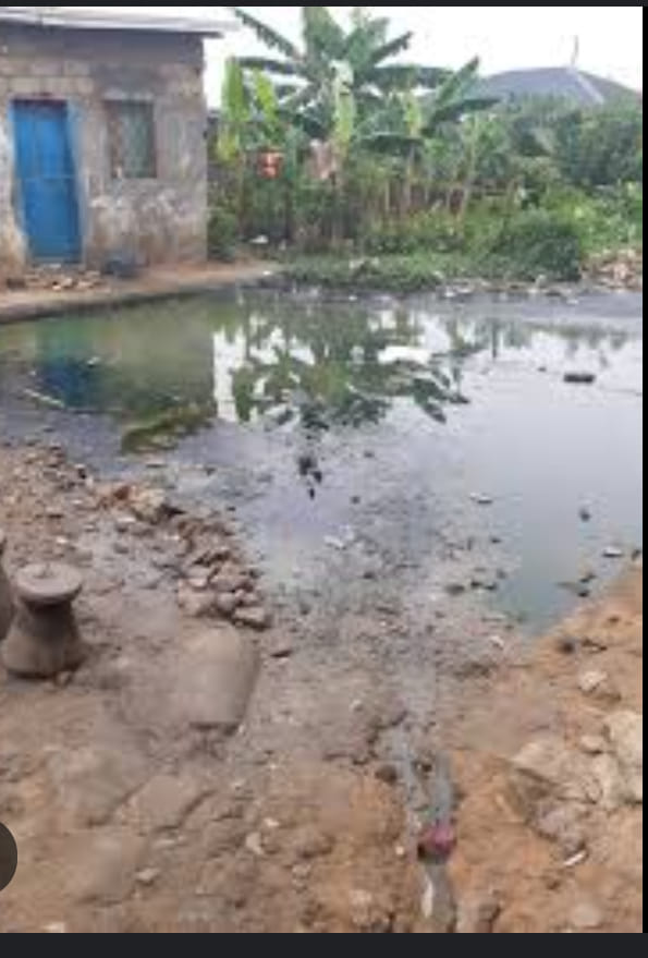 Franklin Sone - GOOD NEWS: Rain Floods Washed Away Douala Mosquitoes ...