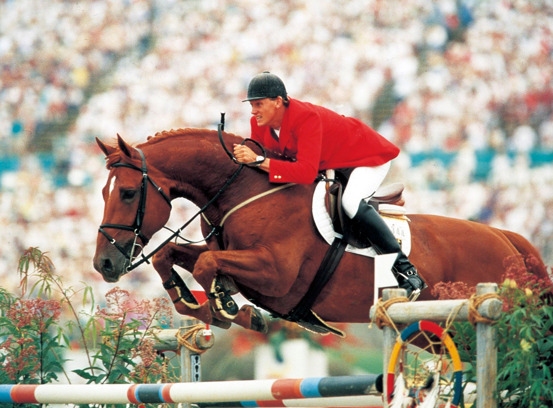 トップス A 👌Interesting; 4 embryo's from the Olympic Double Gold winner Jus