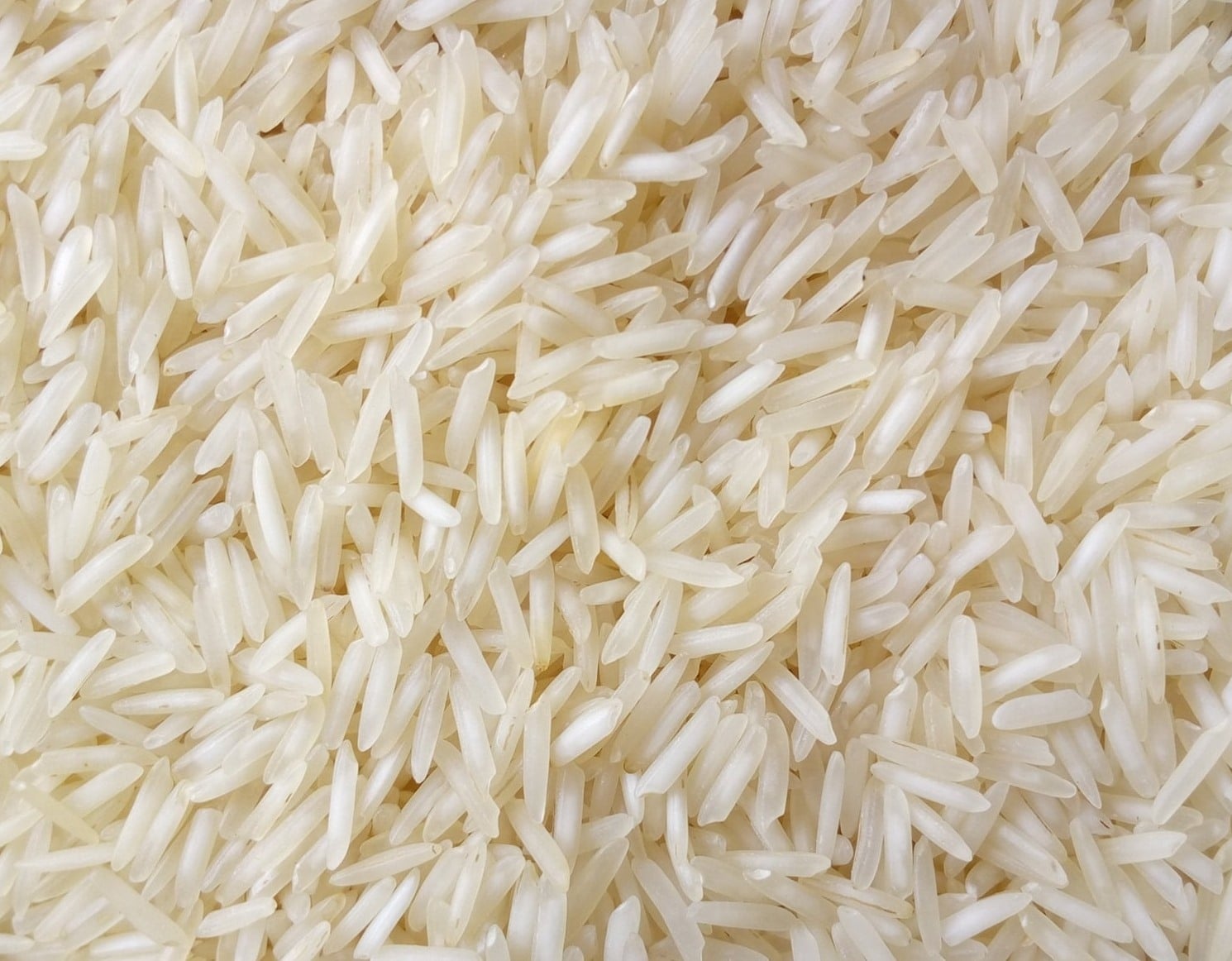 Usman Rice Trader - Home