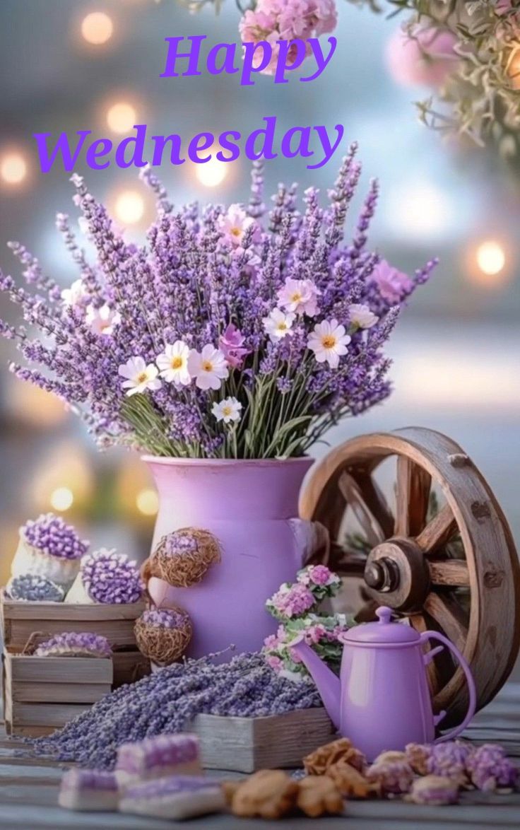 purple obsession/purple lovers | Good morning and happy Wednesday ...