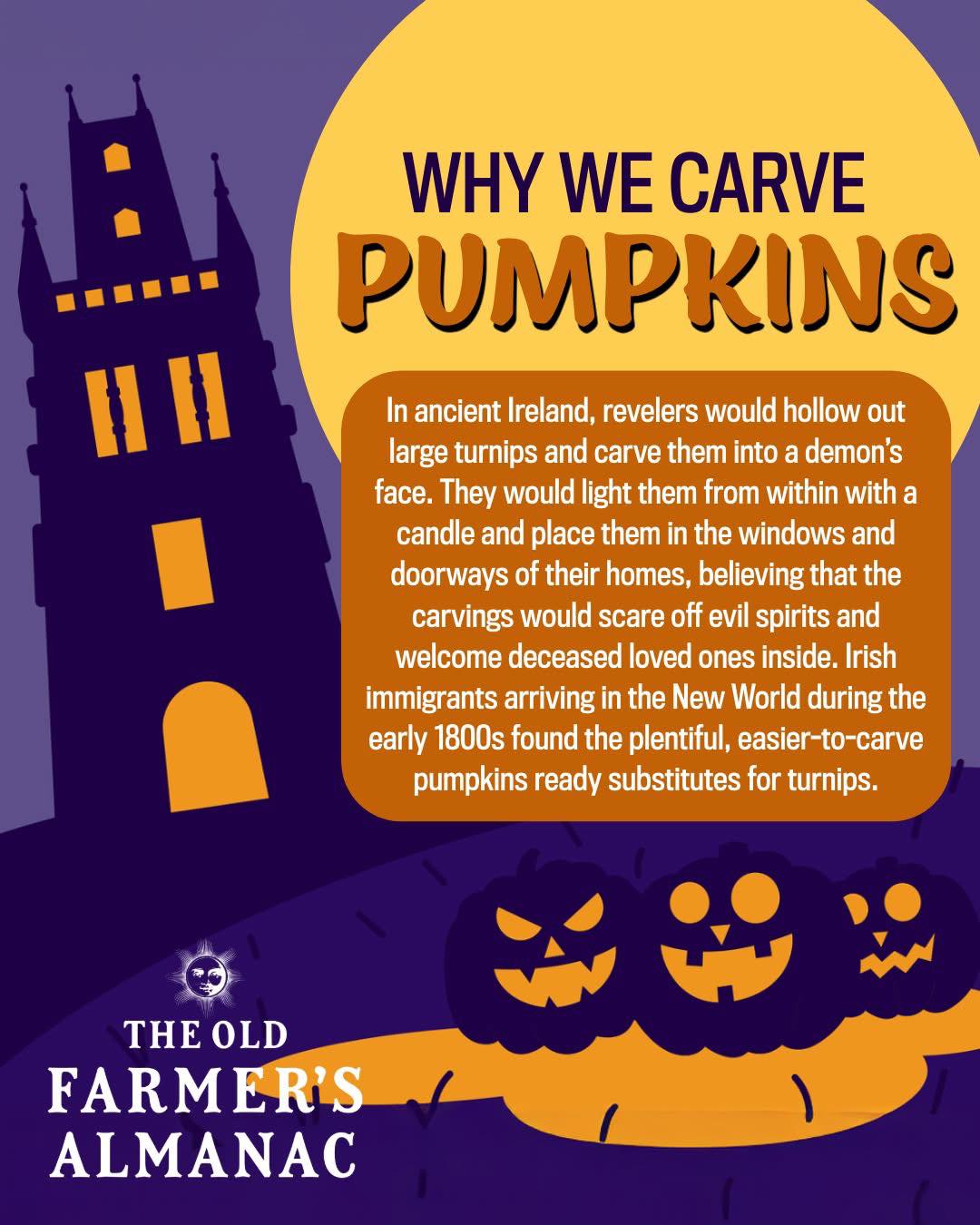 Forever Fall & Halloween🎃🍁 | Facebook