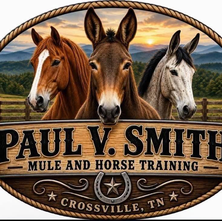 10-7-26 working mules this evening gray mare mules | Paul V Smith