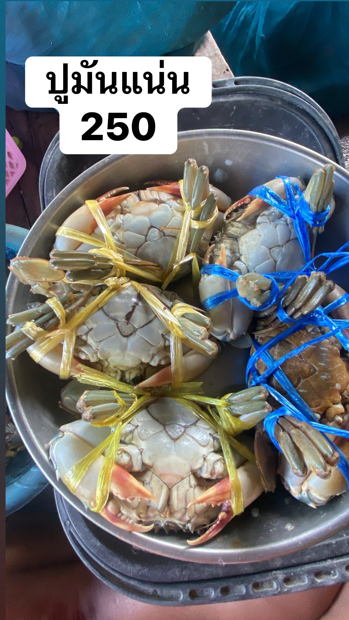 ปูดำทะเล นึ่งฟรีทุกชุดมีน้ำจิ้มพร้อมทาน🦀 | Facebook
