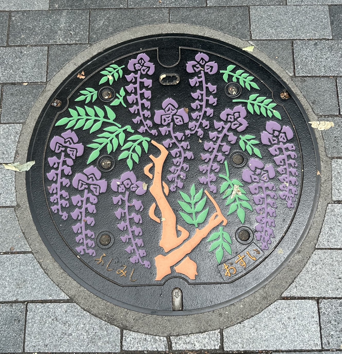 栃木県那須塩原市 マンホールカード配布は終了しているけど