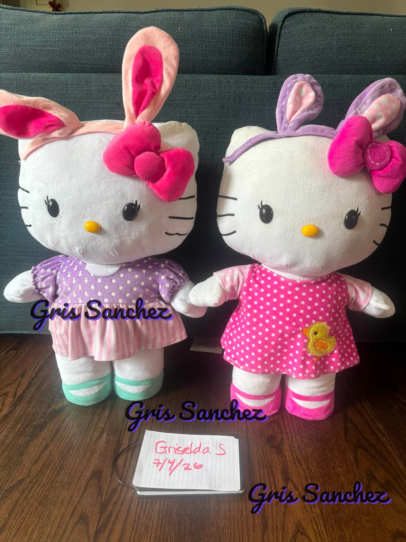 🦄 Sanrio Hello Kitty pickleball set 🦄 Preorder - ETA 3-4 weeks