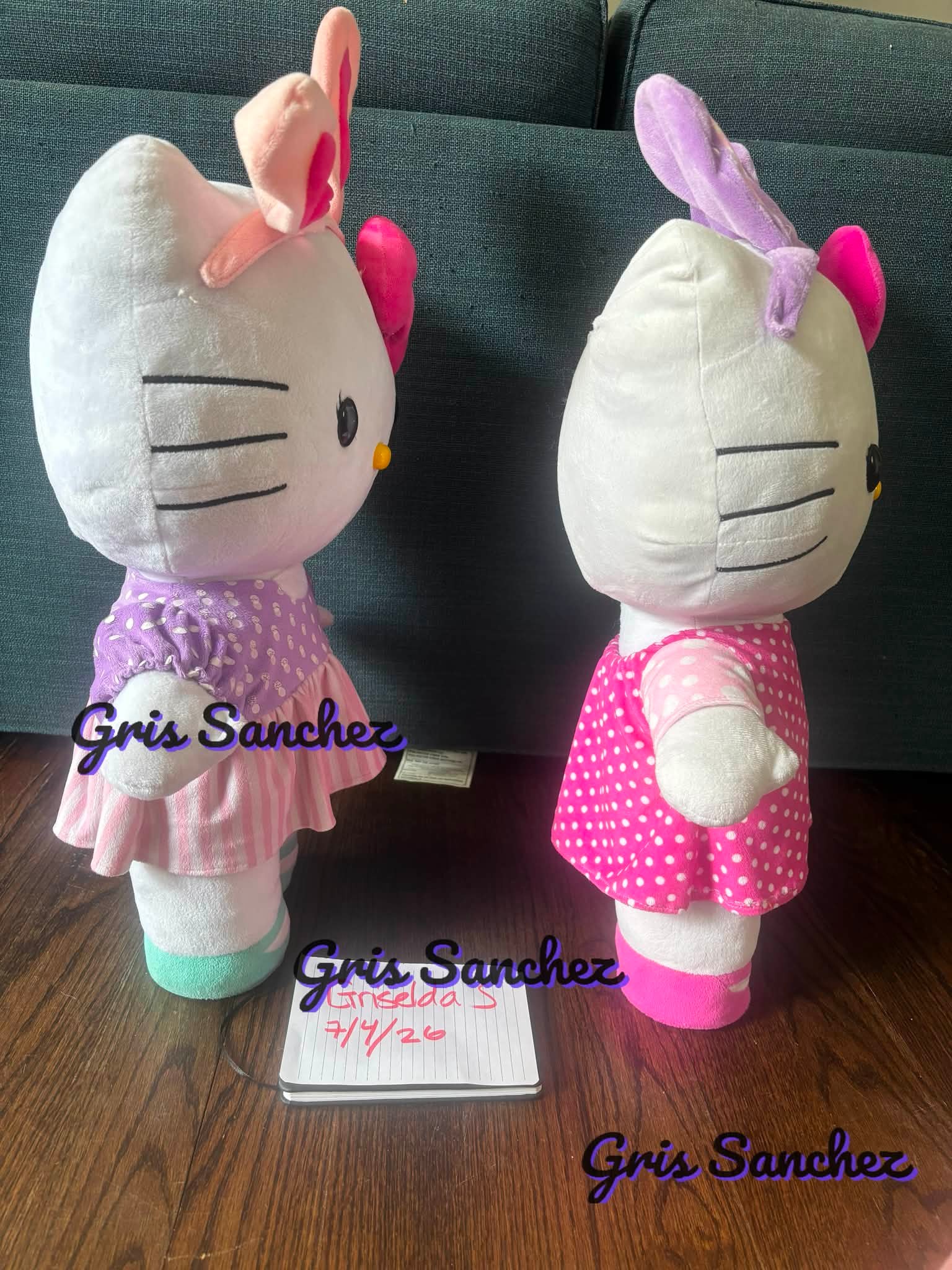 🦄 Sanrio Hello Kitty Pickleball Set 🦄 Preorder - ETA Jan-Feb