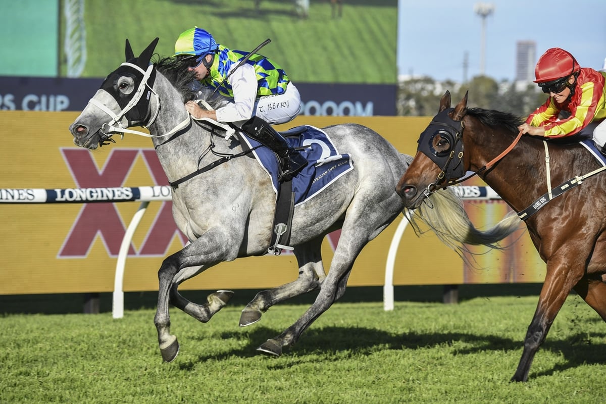 NZ Racing News - New Zealand-owned galloper Polly Grey...