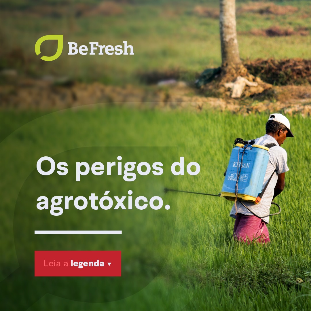 Befresh Itaim - ⚠️O Brasil já foi campeão mundial em...