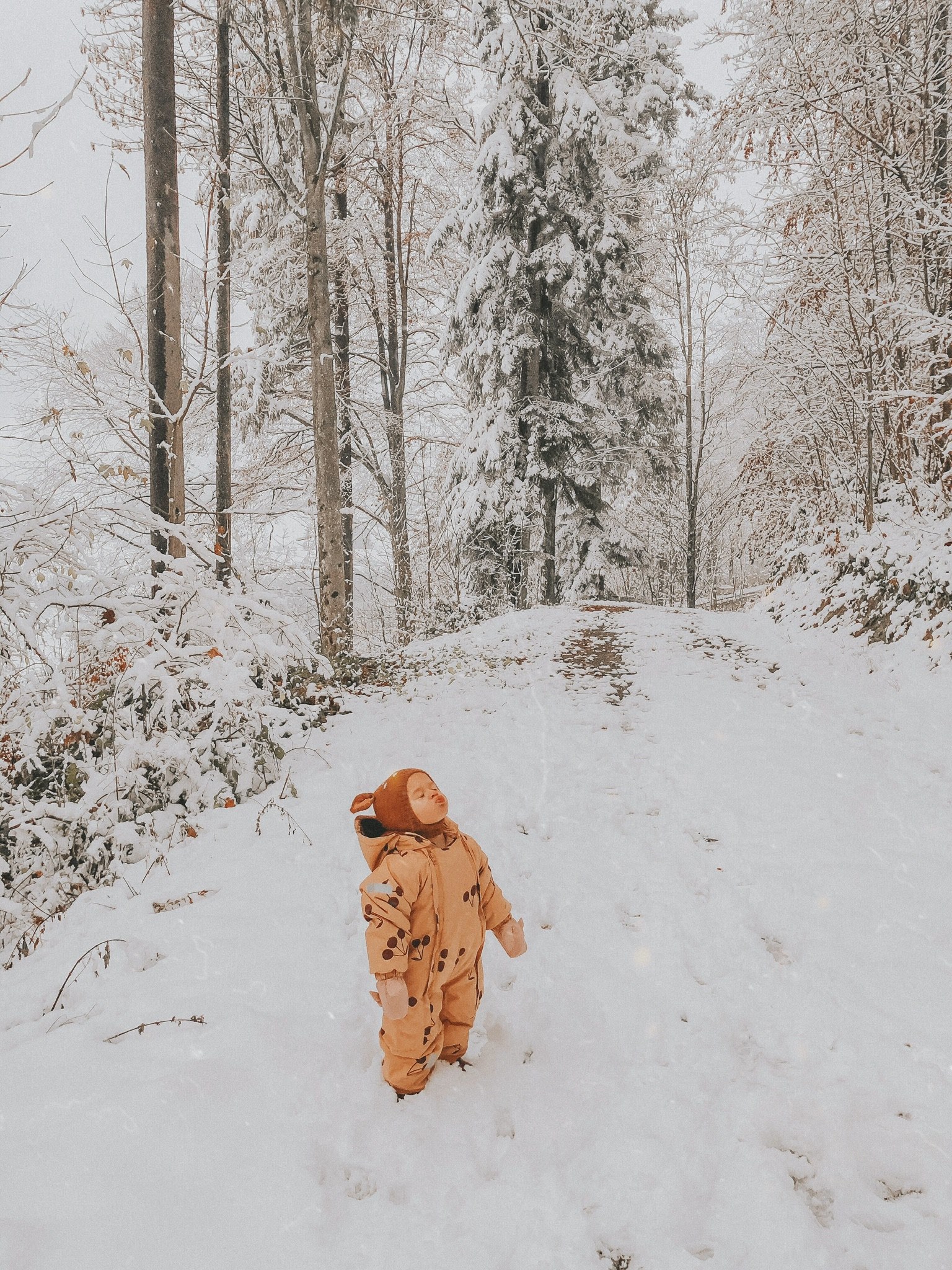 Stadtlandkind Der Erste Schnee Kommt Bestimmt Ganz Bald