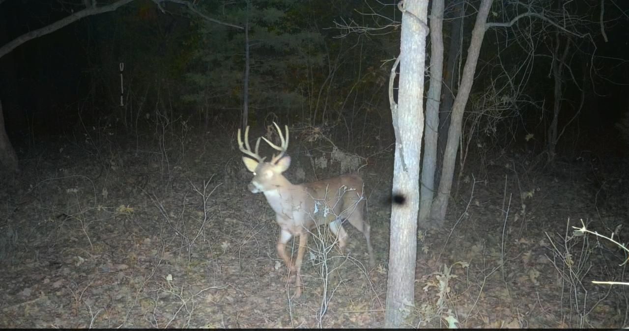 can deer smell vape smoke What's your thoughts on vaping while hunting? 510 cartridge battery E-liquid flavor:Solero Ice Cream Smok RPM 85 &