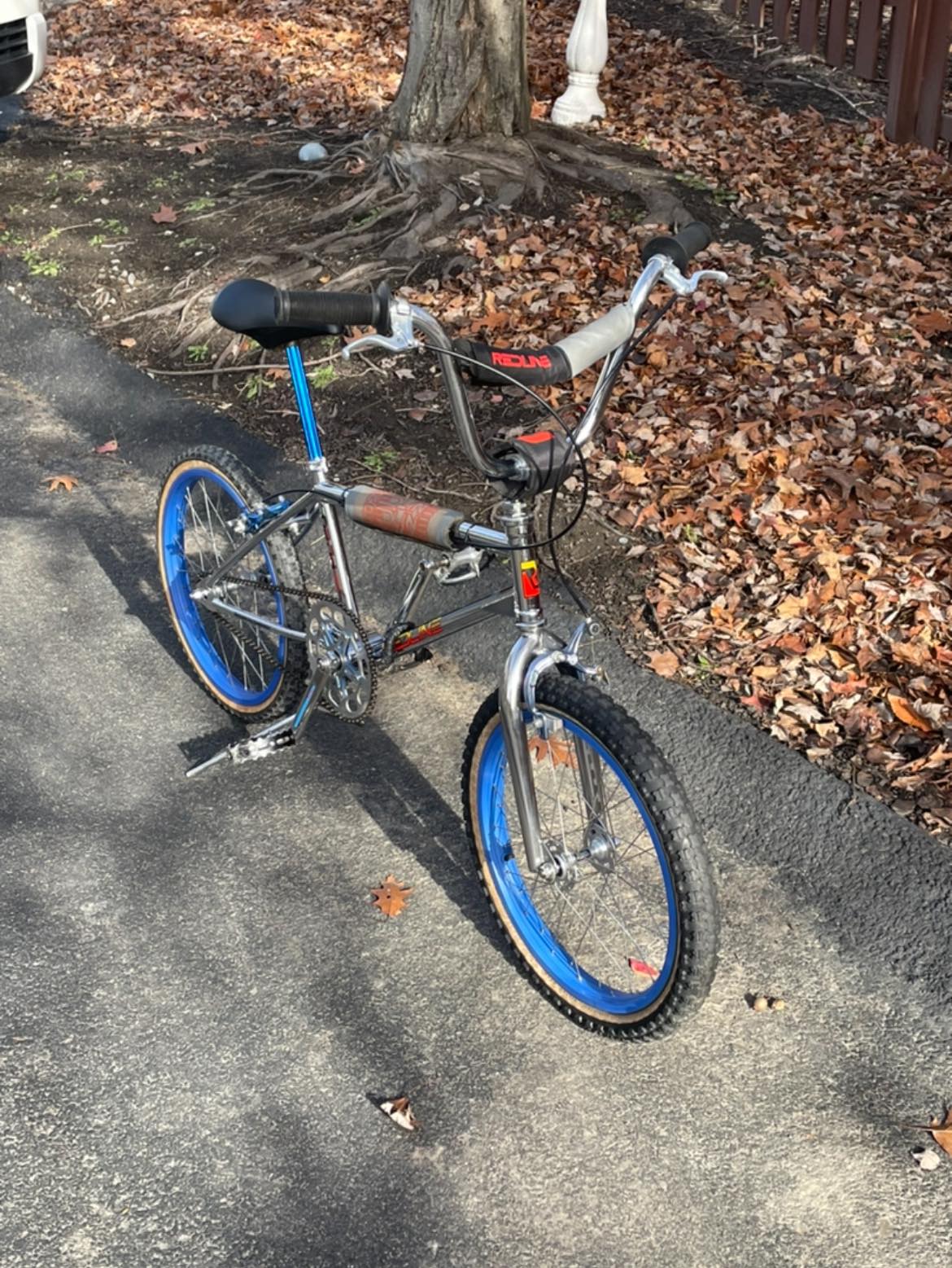 Just wrapped up getting this 1983 Redline Pl-20 survivor ridable.