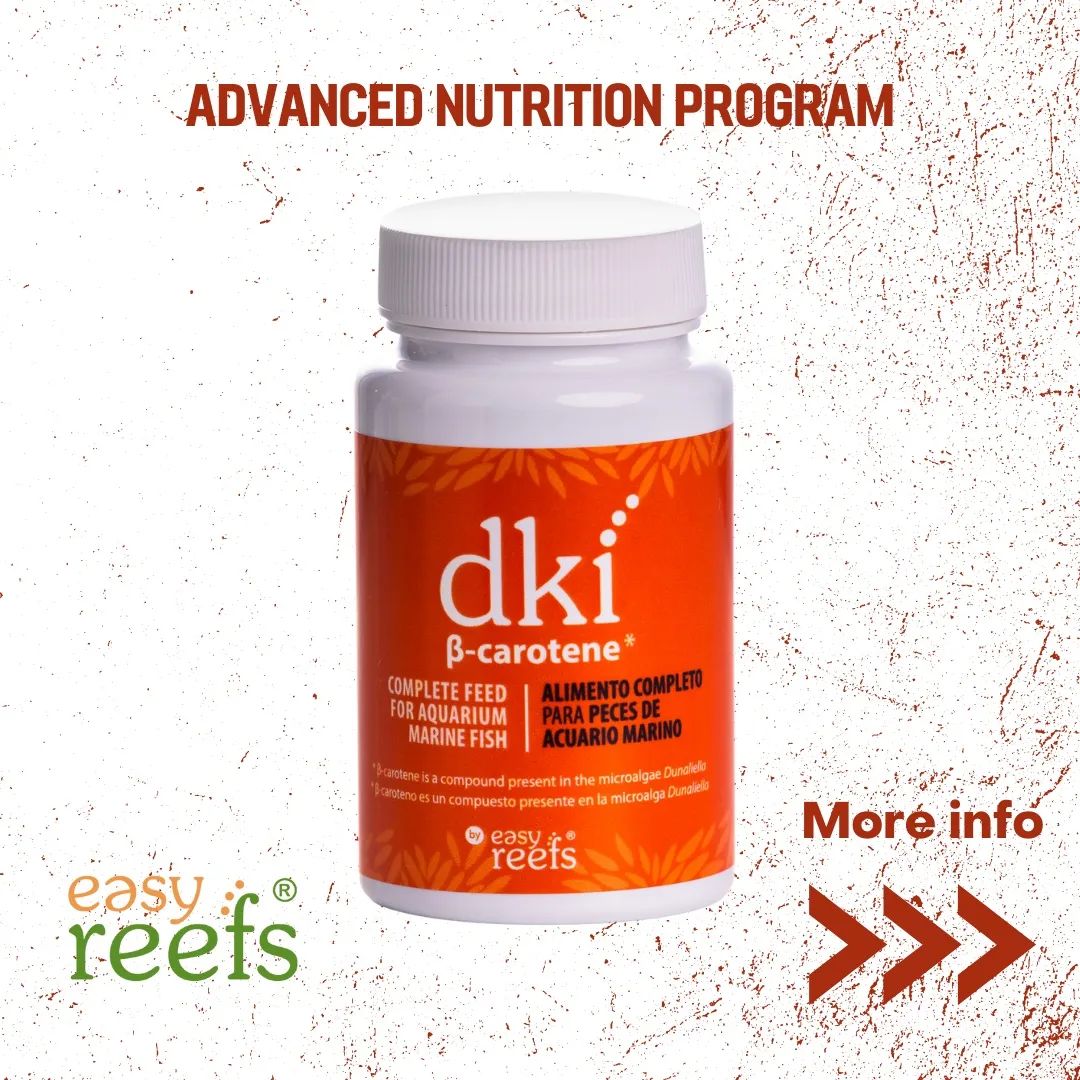 Easyreefs - New fish food Dki Beta Carotene Source:... | Facebook