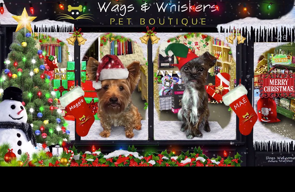 Wags Whiskers Pet Boutique Canine Cafe Home Facebook