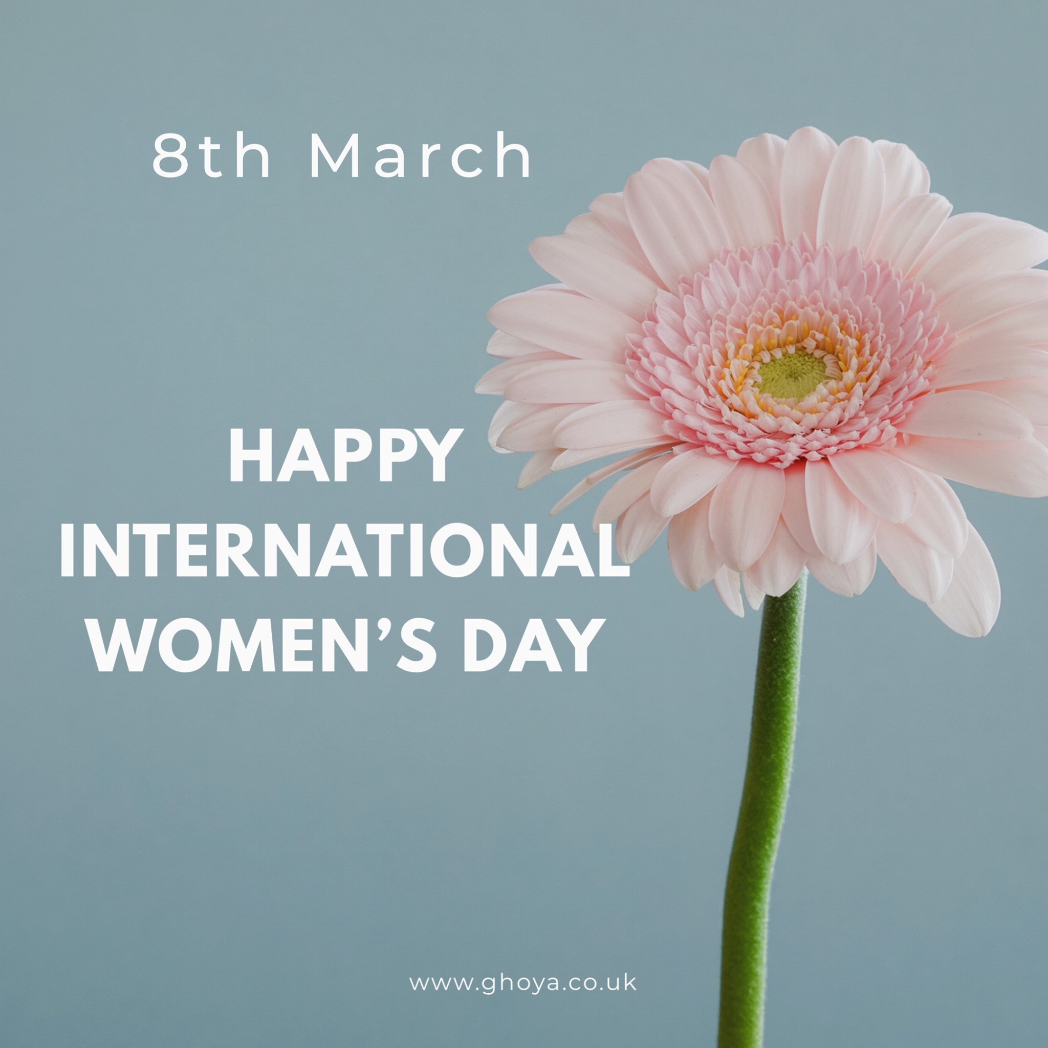 Ghoya - 🌹Happy International Women's Day to all our customers and ...