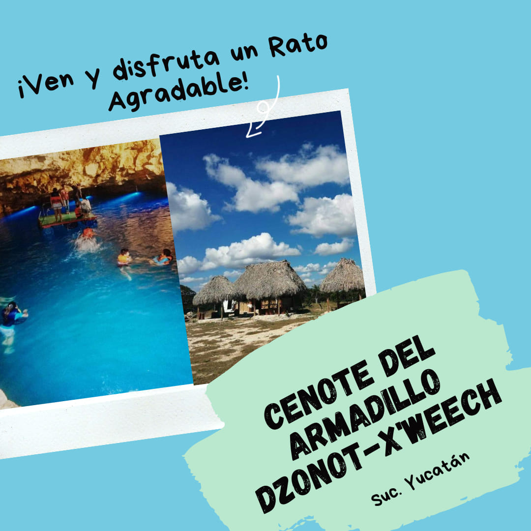 Bienvenidos al... - Cenote del Armadillo - Dzonot X'Weech | Facebook