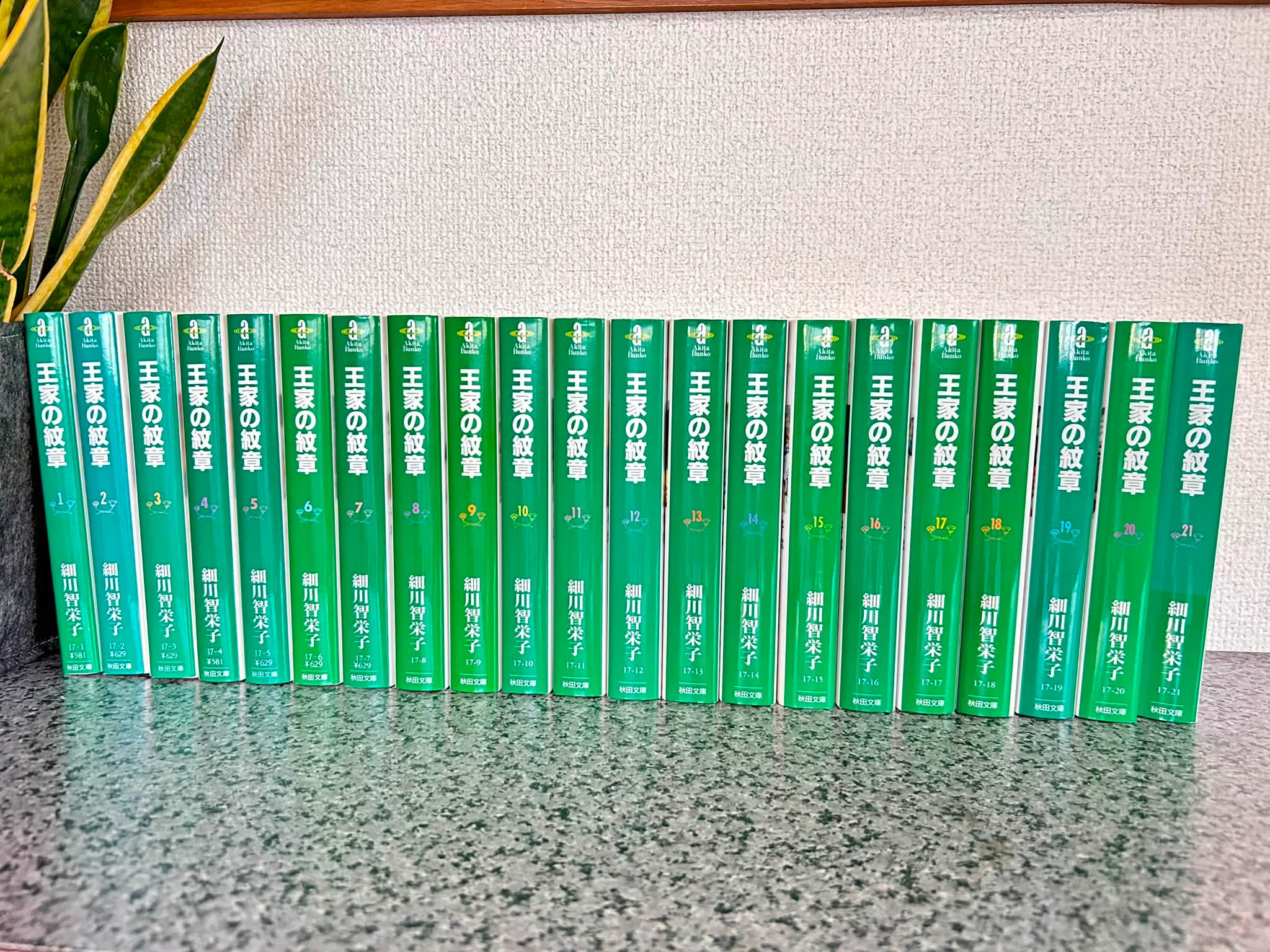 断捨離🍀*゜ 1巻から21巻 メルカリへ出品•*¨*•.¸♬︎ 今まで