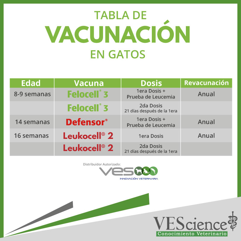 Conoce la tabla de vacunación en... - VES Educación Continua | Facebook
