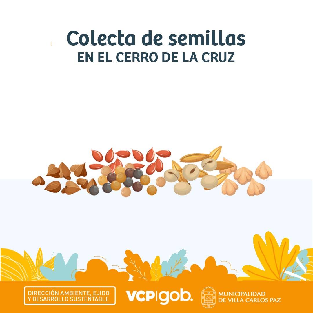 Ambiente VCP - COLECTA DE SEMILLAS DE NATIVAS EN EL CERRO...
