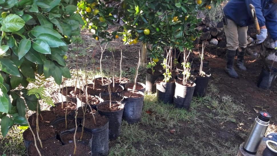 Semillas, plantines, macetas... en... - Reserva El Potrero | Facebook