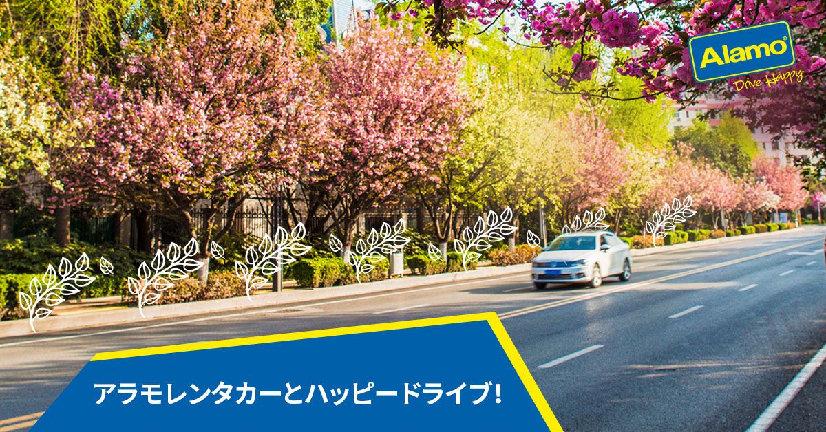 Alamo Rent A Car Japan (@AlamoJapan) • Facebook