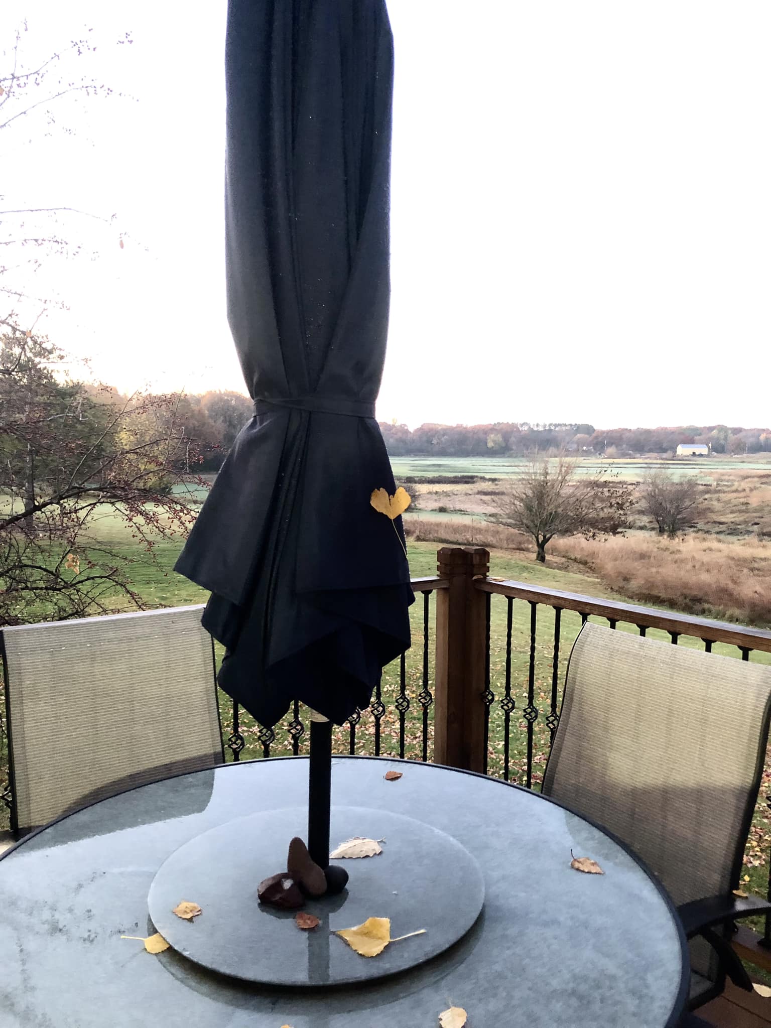 leaf shaped patio umbrella PURPLE 10ft Durable Outdoor Umbrella, UV Umbrella, Grey, Garden Sun aluminum umbrella bones and 8 heavy Heart-shaped leaf on patio umbrella