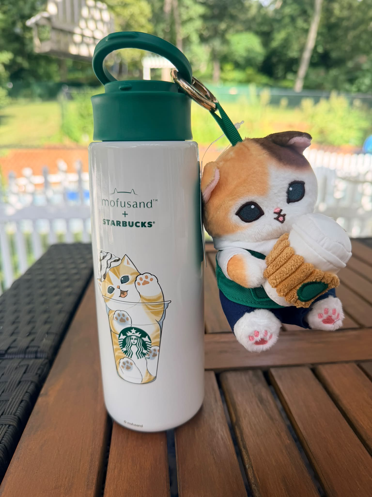They're so cute 🥰 o M mofusand™ STARBUCKS t อดเลดาม عد mofusand