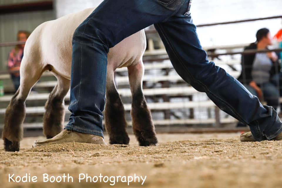 Kodie Booth Photography