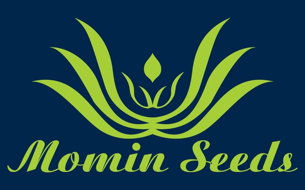 MOMIN SEEDS | Nawabshah