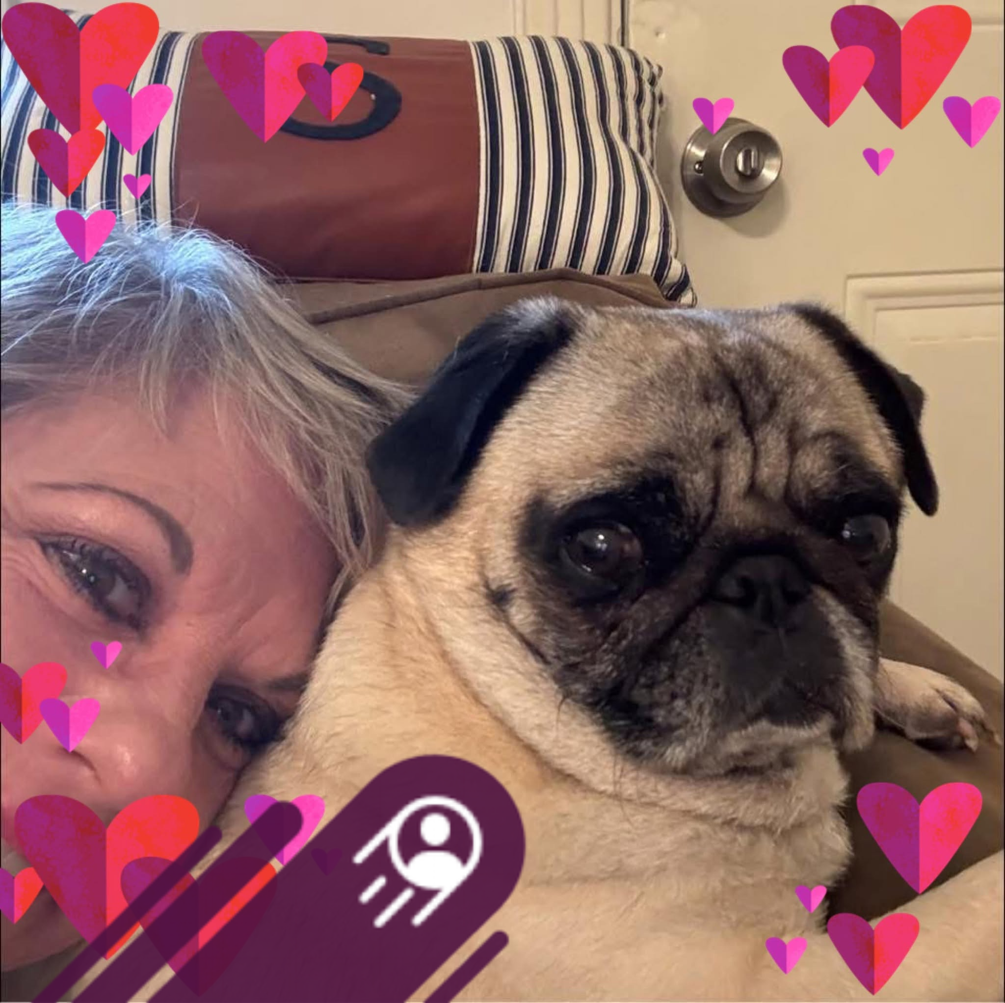 I Already Knew #pugnation #theovon #pug #puglife #fypシ ️💞 ️ | Vicky ...
