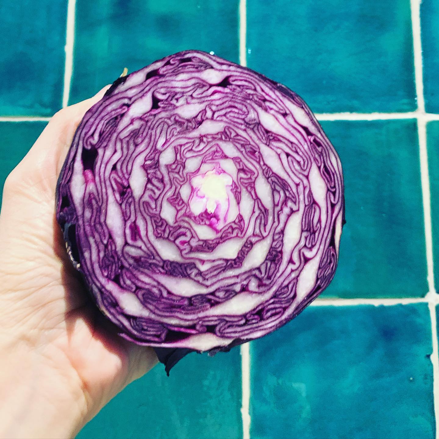 Ana - “A pedido de várias famílias” aqui vai a receita da minha salada ...