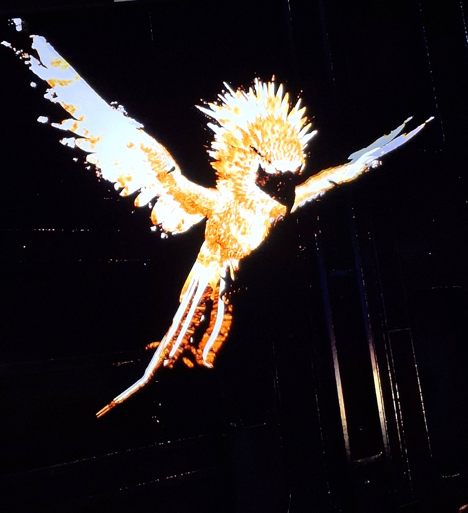 Phoenix chibi for sale in-game or exchange for another color