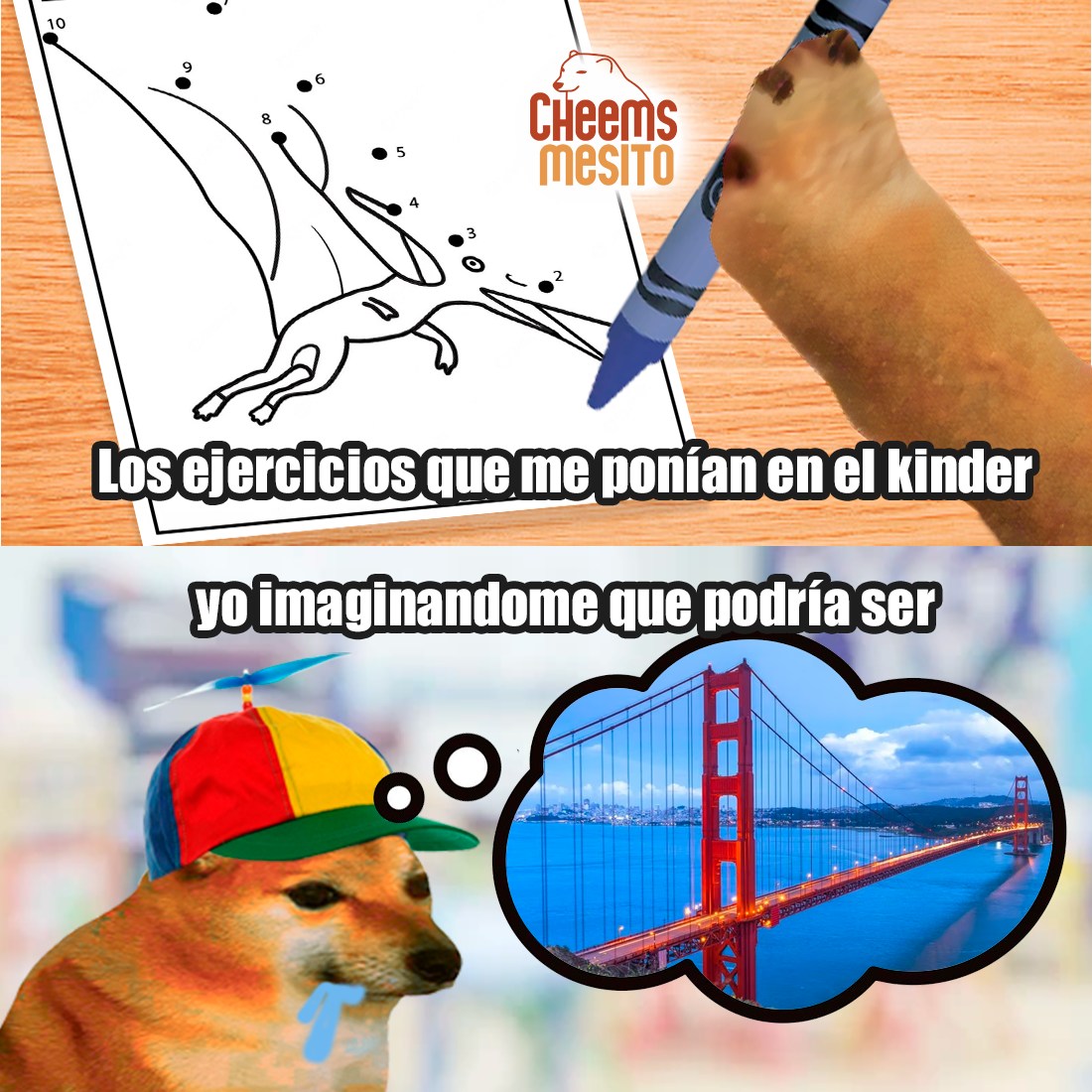Cheemsmesito - ..🖍...🐕 