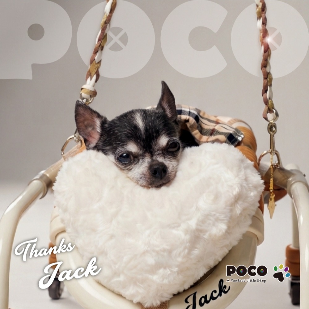POCO オーダーメイド 愛犬用歩行器 POCO歩行器の新作リリース 「重力なんて、遊び相手だ🐾」 愛犬の新しい