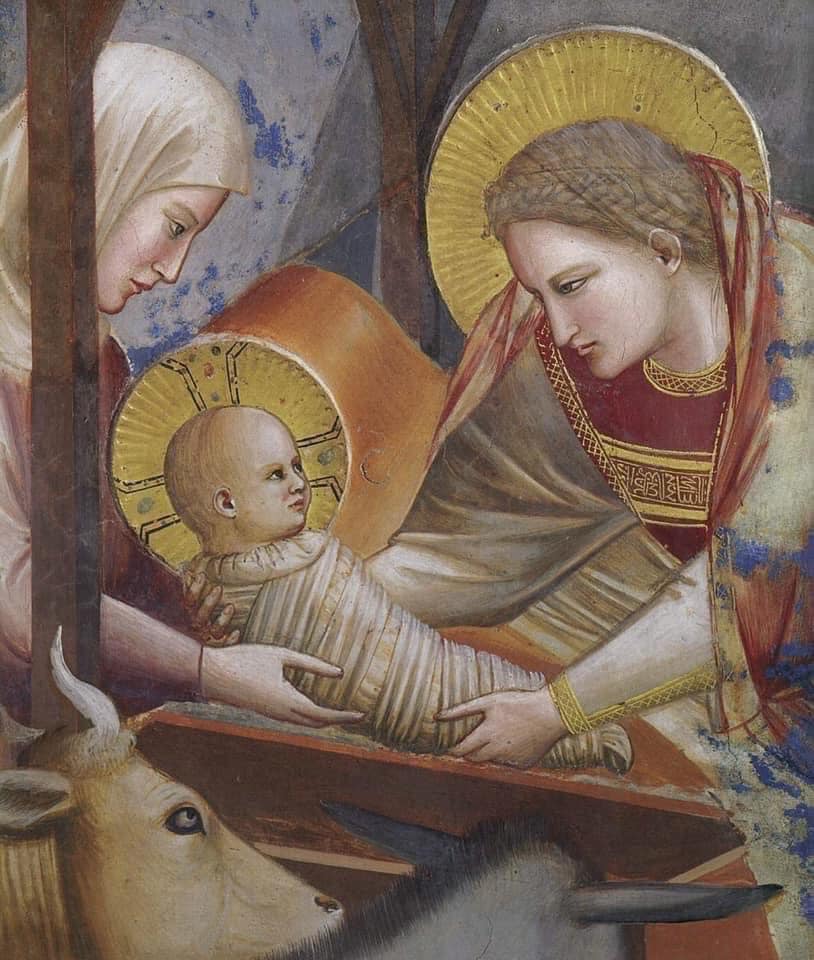 Natività - Nativity (1732) “Oil on canvas, 228 x 160 cm” [Basilica