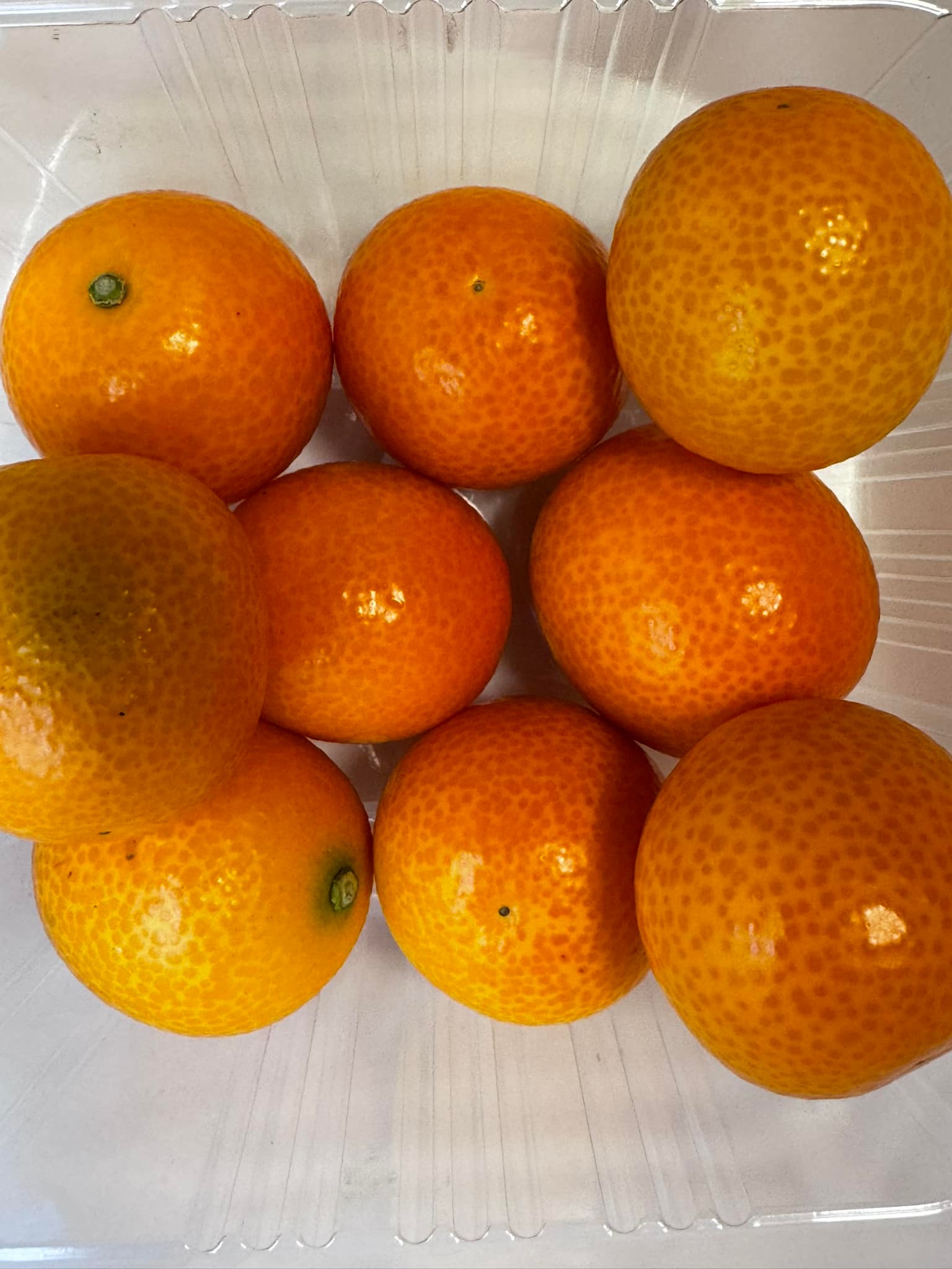 Kinkan citrus fruits in Japan