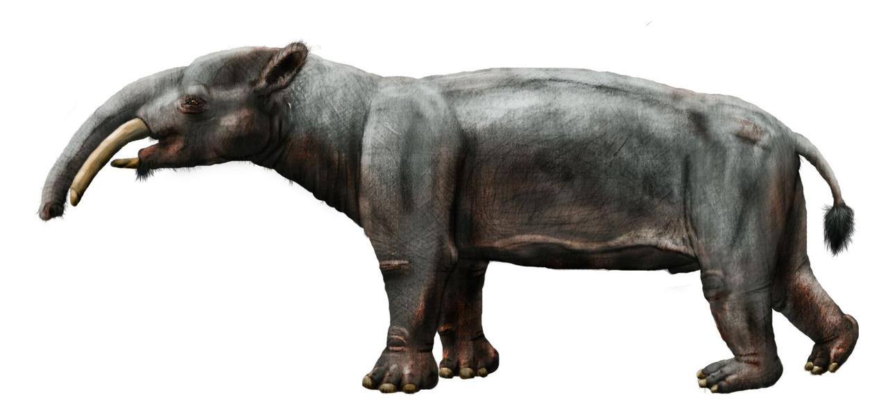 WORLD OF PREHISTORIC CREATURES | An encounter between a ...
